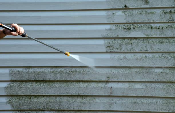 Best Gutter Cleaning  in Barboursville, WV
